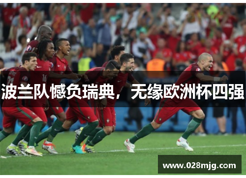 波兰队憾负瑞典，无缘欧洲杯四强