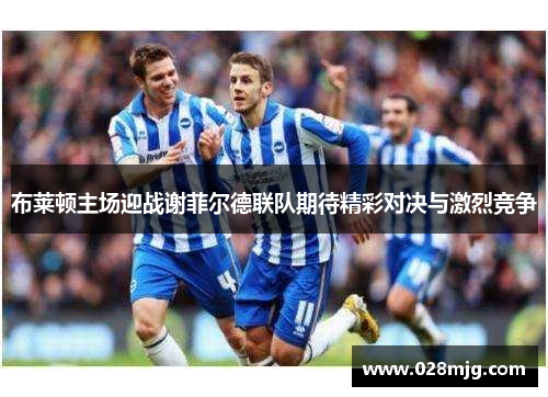 布莱顿主场迎战谢菲尔德联队期待精彩对决与激烈竞争